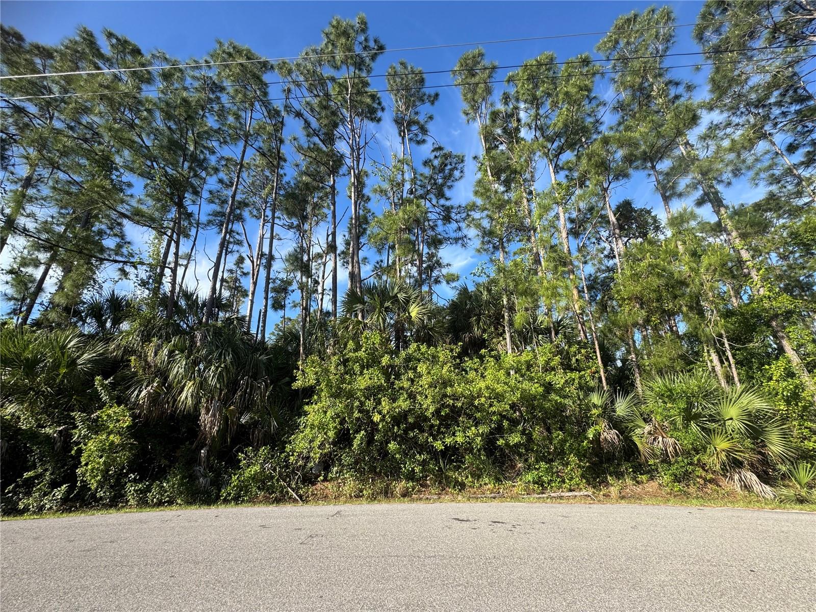 PORT CHARLOTTE SUB 09 - Land