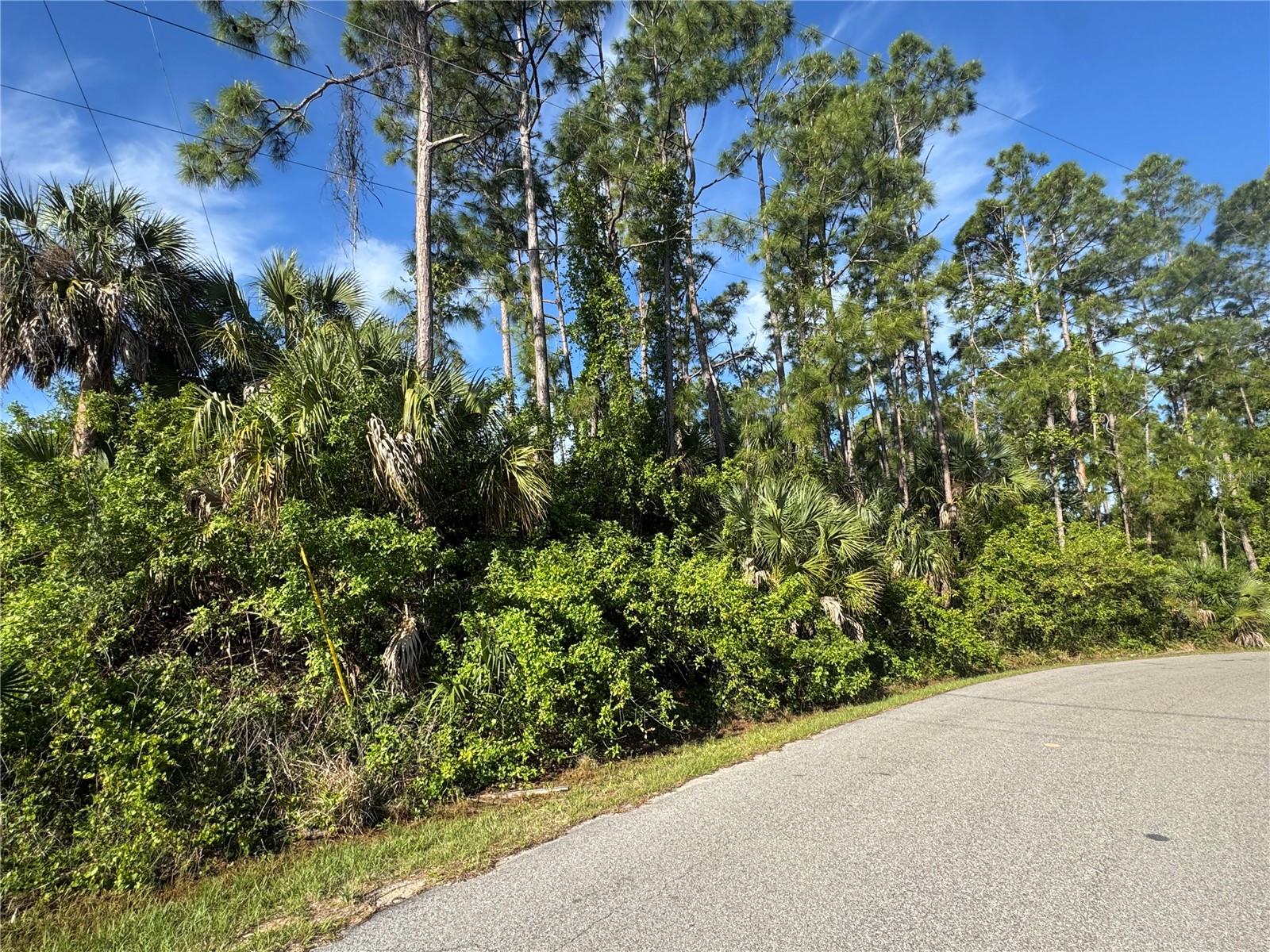 PORT CHARLOTTE SUB 09 - Land