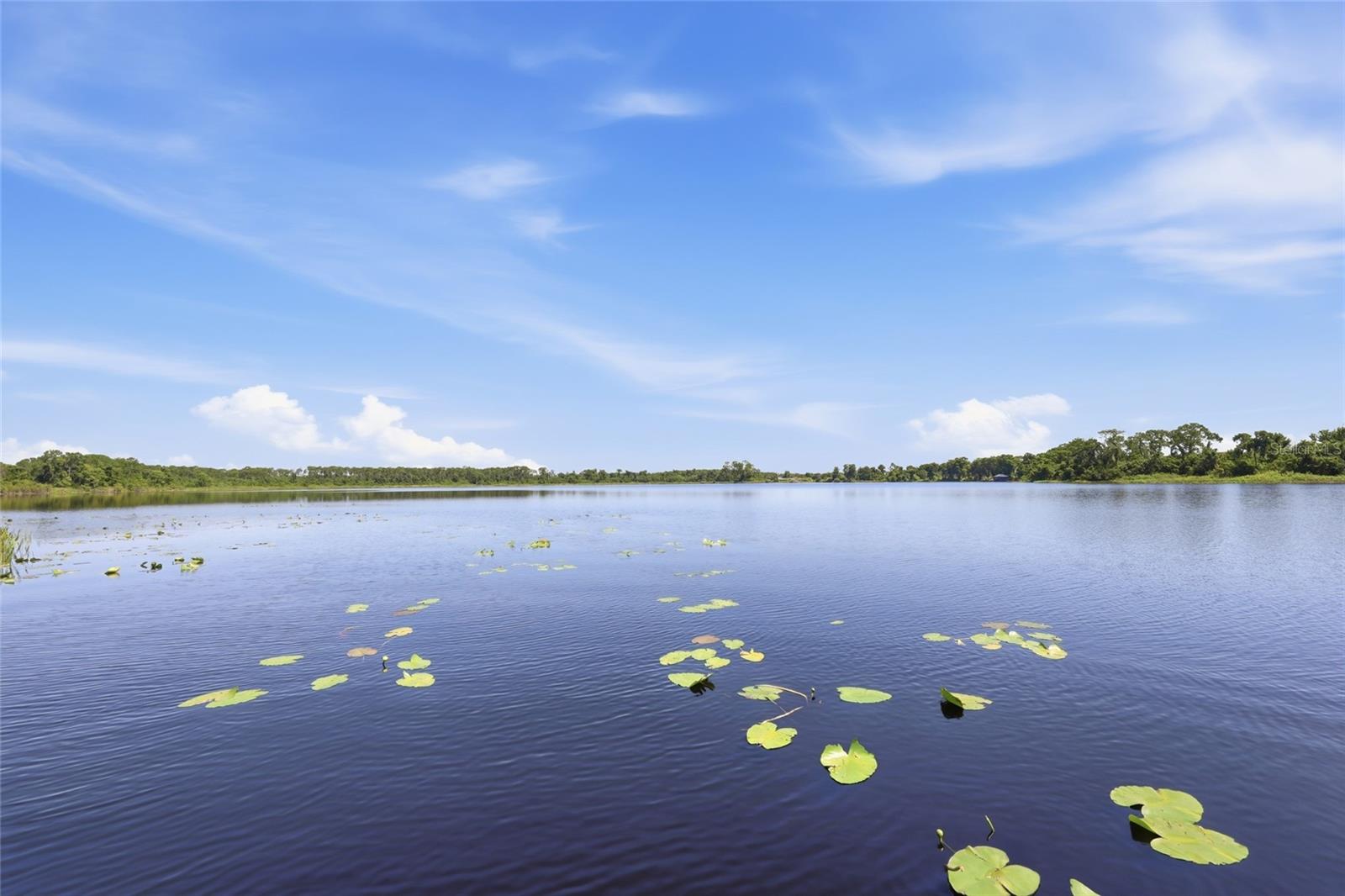 ROYAL CYPRESS PRESERVE-PH 4 - Residential