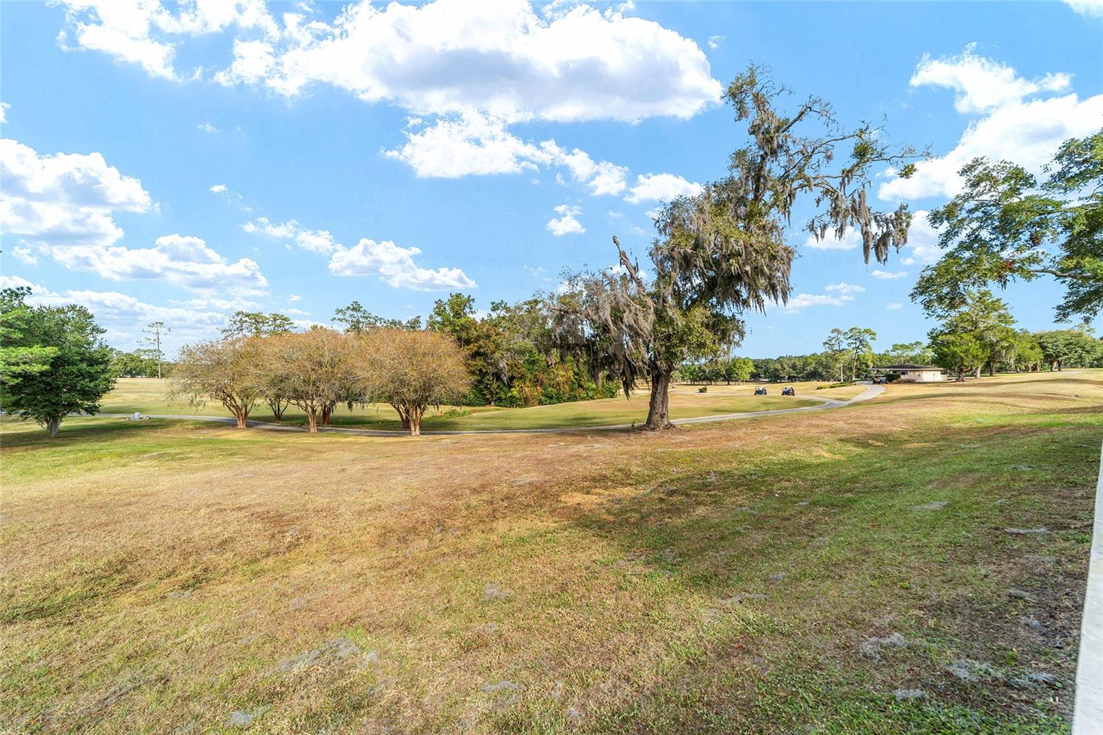 MARION SPGS CONDO - Residential
