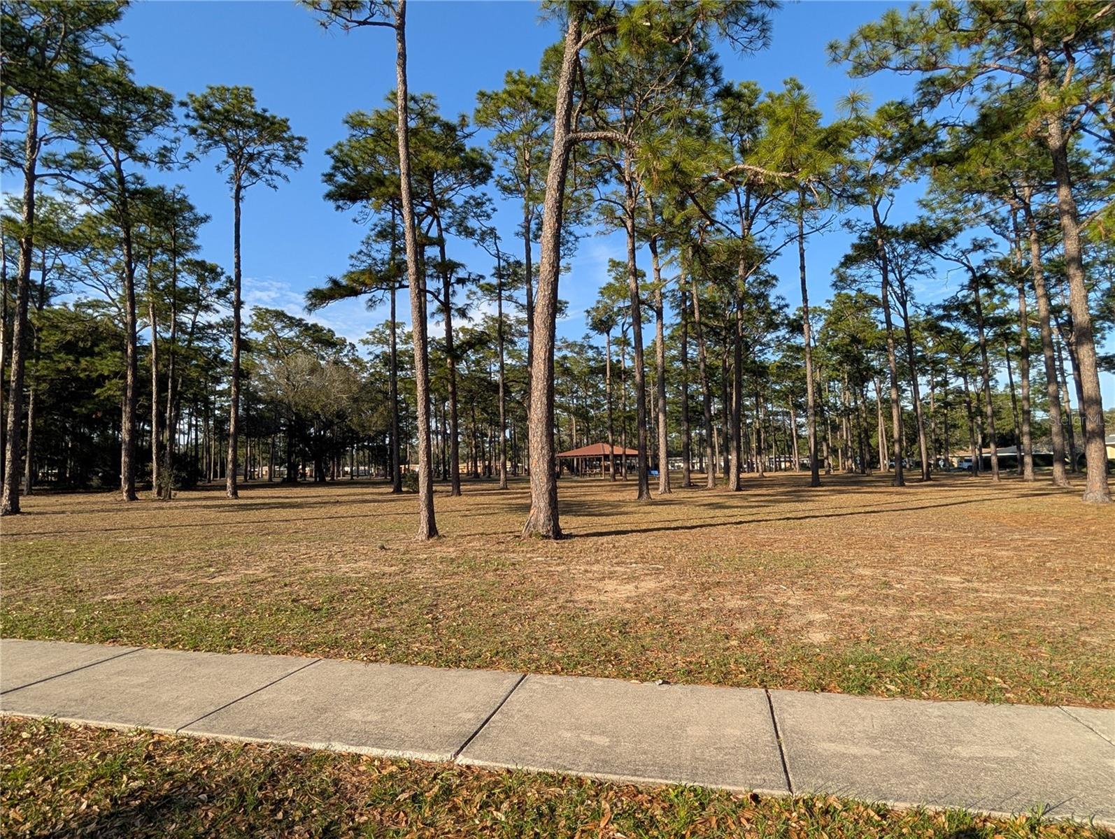 BELVEDERE PARK - Residential