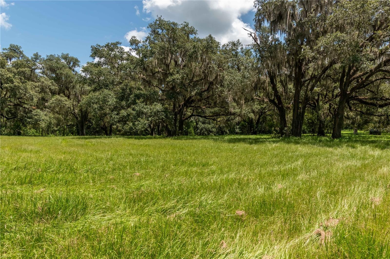 AG NONSUB - Farm