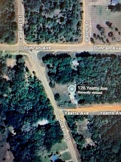 Property with Potential. Bring/Build your new dream home! This property already has well and septic available. Property is partially fenced on a corner lot. Mature landscaping and beautiful views of other surrounding properties. Enjoy nearby Shopping, Site seeing, Springs, Parks, and e. Just a hop skip and a jump away from Lake City, The Ocala National Forrest. Jacksonville, Gainesville, and Palatka. Make this country living yours today!