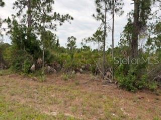 PORT CHARLOTTE SEC 060 - Land