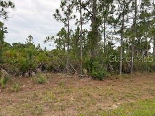 PORT CHARLOTTE SEC 060 - Land