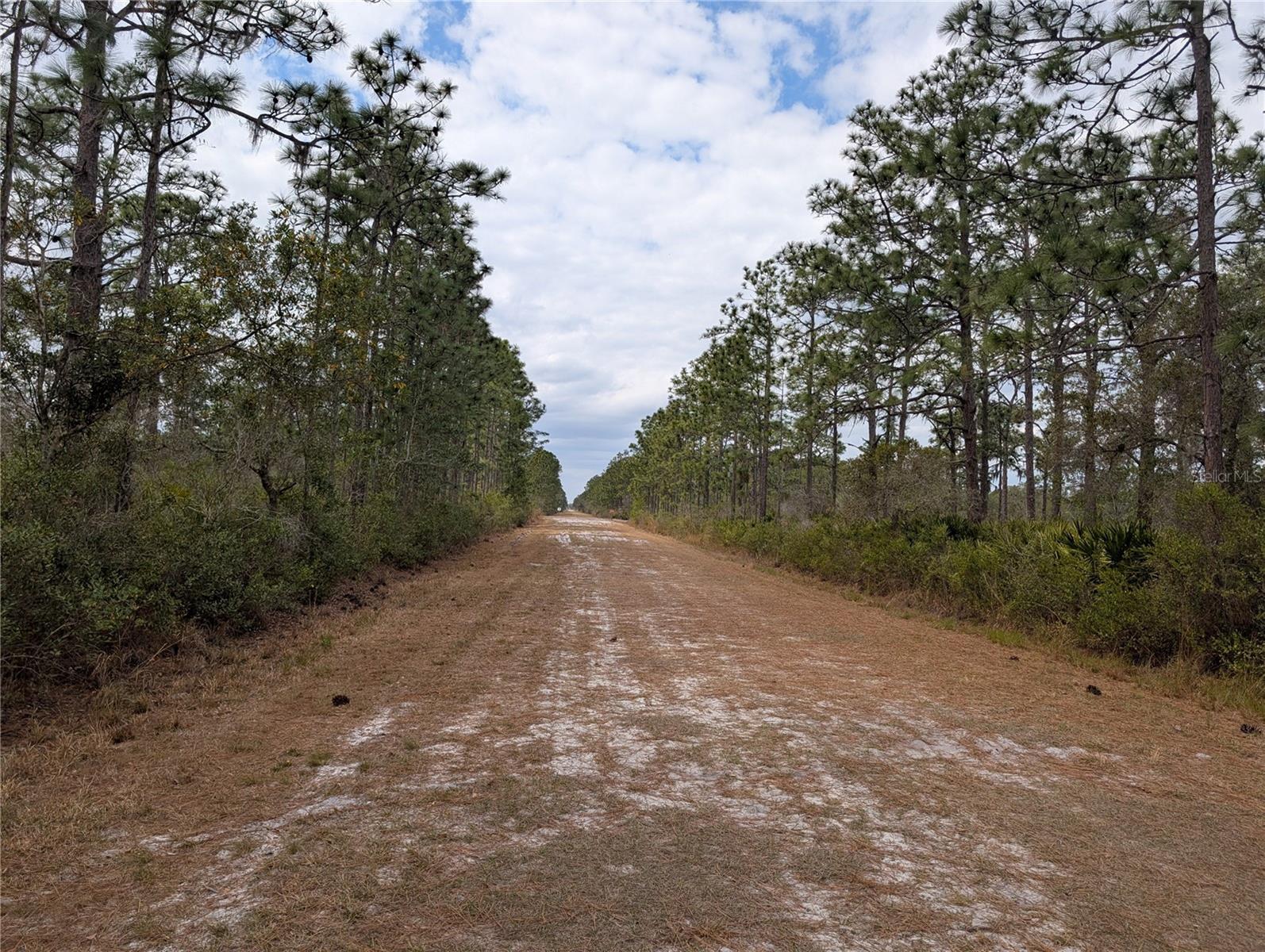 Build your dream home on this beautiful ACRE lot nestled in the welcoming lake community of Indian Lake Estates, a hub for golfing, fishing, and boating in the heart of Florida. Indian Lake Estates sits about 20 miles east of Lake Wales, encircling the renowned 7,500-acre Lake Walk In Water, famous for its exceptional fishing and hailed as one of Florida's top bass fishing spots. The lake features a beach, a boat ramp, a marina, and boasts the longest freshwater fishing pier in the state. At the pier's front, you'll discover a pavilion equipped with propane grills and covered picnic tables, perfect for gatherings. The community amenities are extensive, including an 18-hole golf course, basketball and tennis courts, a spacious 23,000 sq. ft. clubhouse, a cafe, post office, churches, a library, fitness room, and pro shop. If you cherish nature and the tranquility of country living, you’re in for a treat. The area is teeming with wildlife; keep an eye out for deer, raccoons, turkeys, turtles, cranes, and a variety of birds that call this community home. Orlando and Disney are just an hour’s drive north, while Tampa, Busch Gardens, and the pristine beaches of the Gulf are a bit over an hour to the west. You’ll also find the historic Bok Tower, a National Landmark, in nearby Lake Wales. And just six miles away, the Westgate River Ranch Resort and Rodeo offers a taste of authentic Florida with a full-service resort experience, spanning 1,700 acres. Here, you can enjoy horseback riding, wildlife airboat and swamp buggy rides, a championship rodeo on Saturday nights, a trap/skeet range, nature hikes, a petting farm, a marina, and an Adventure Park with zip lines and rock climbing walls. Dining options include the Westgate Smokehouse Grill and River Ranch Saloon, along with a fantastic selection of cowboy-themed accommodations, from lodge rooms and deluxe suites to spacious cottages and deluxe teepees. Come experience the charm of Indian Lake Estates—Polk County’s best-kept secret!