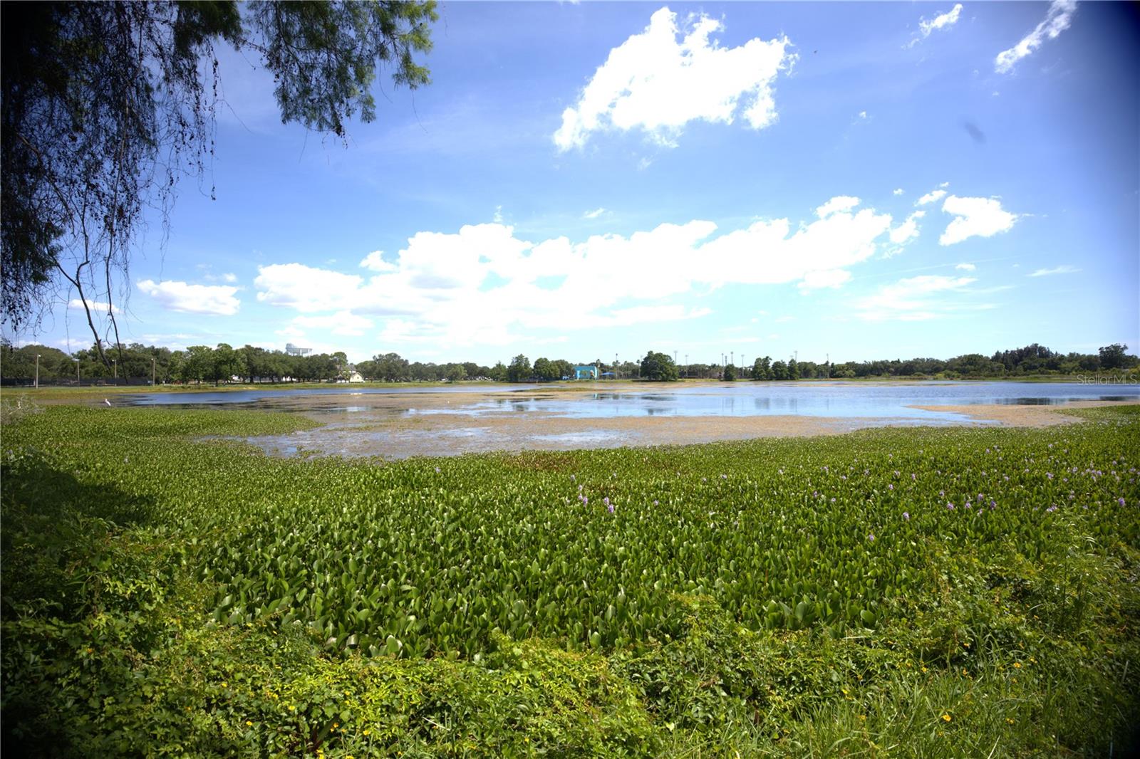 LAKE BELLEVIEW ADD - Residential