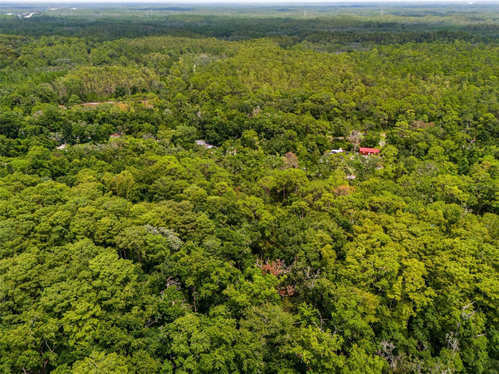 MOON LAKE ESTATES - Land