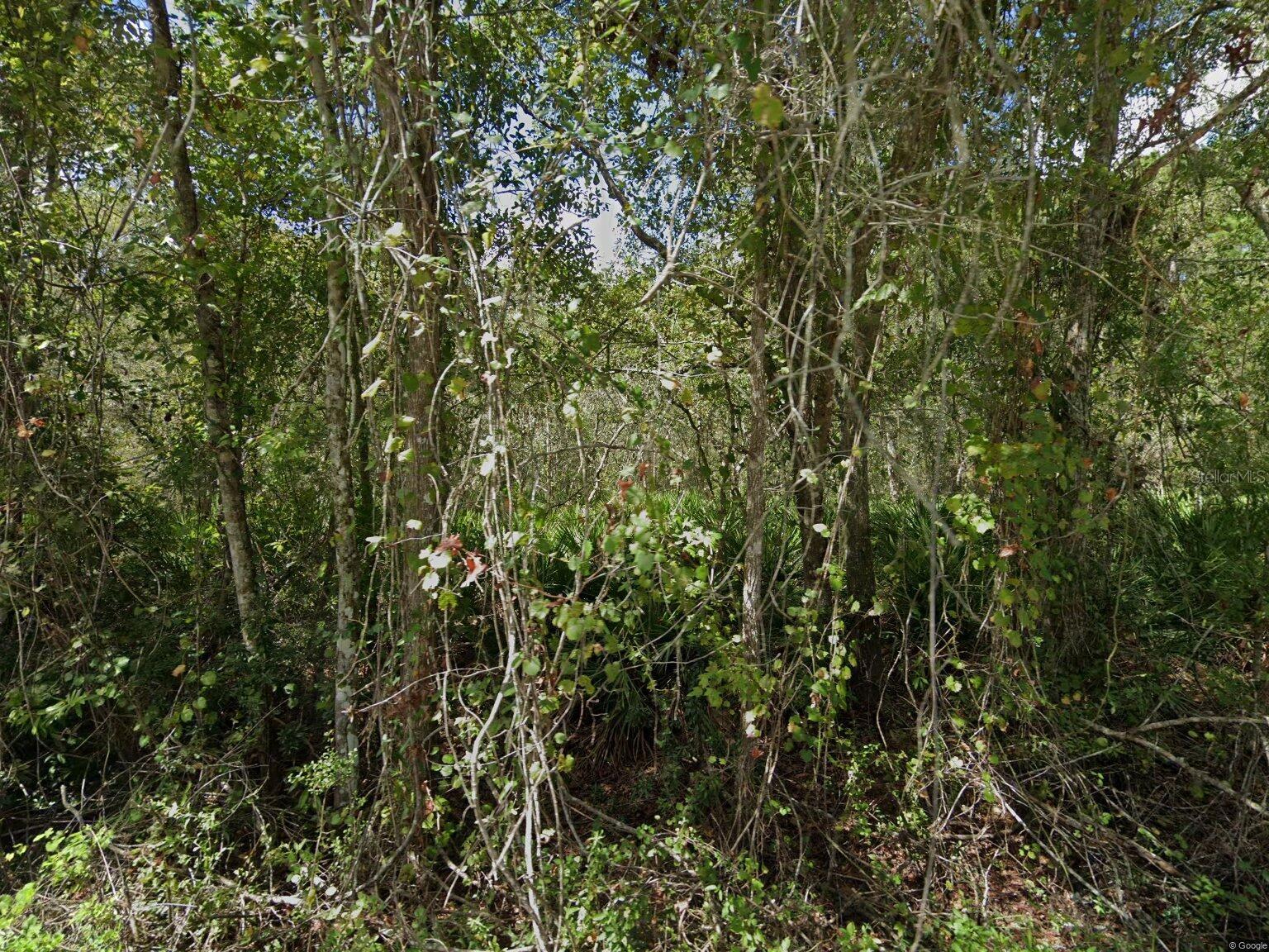 6 lots: #17-12.  Each lot approx 35 x 110' in Moon Lake Estates.  Electricity available. Flood Zone: X.  Located on a Dead-end road - gives you more privacy.  Minutes to the Lake and park.