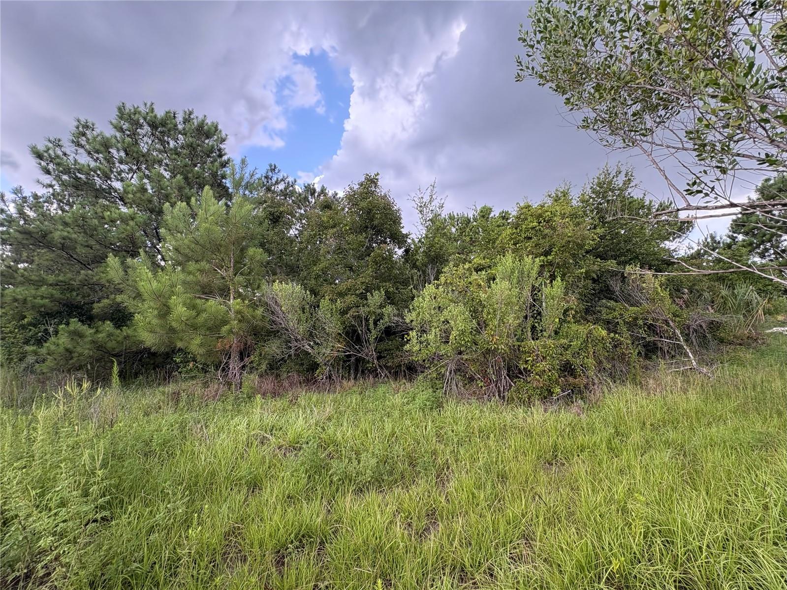 Thanks to its unique zoning and platting, this Agricultural lot has low taxes and more flexible setbacks and zoning regulation than nearby residential lot, allowing for single family, manufactured, or mobile home construction. Enjoy the peace and privacy of country living while remaining just a short drive from schools, shopping, dining, and everyday conveniences. Ideal for quiet homesite or long term buy and hold investment.