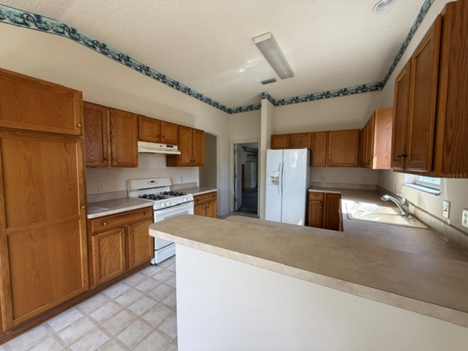 VILLAGES OF SUMTER - Residential