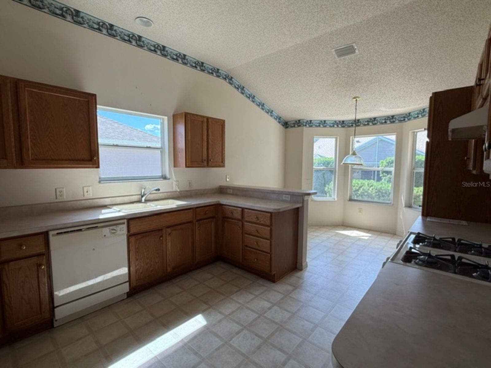 VILLAGES OF SUMTER - Residential