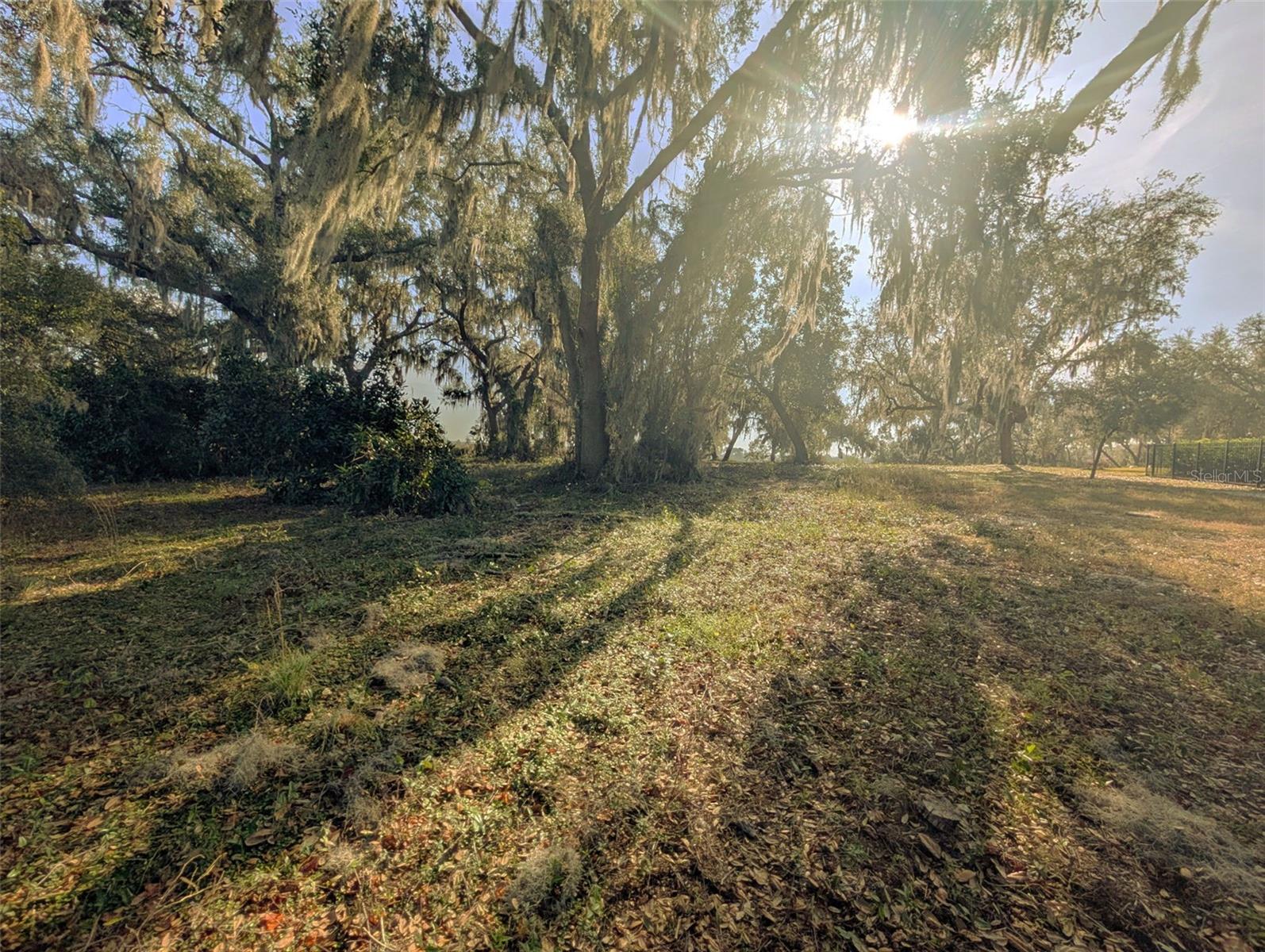 BLUE SPRING RESERVE - Land