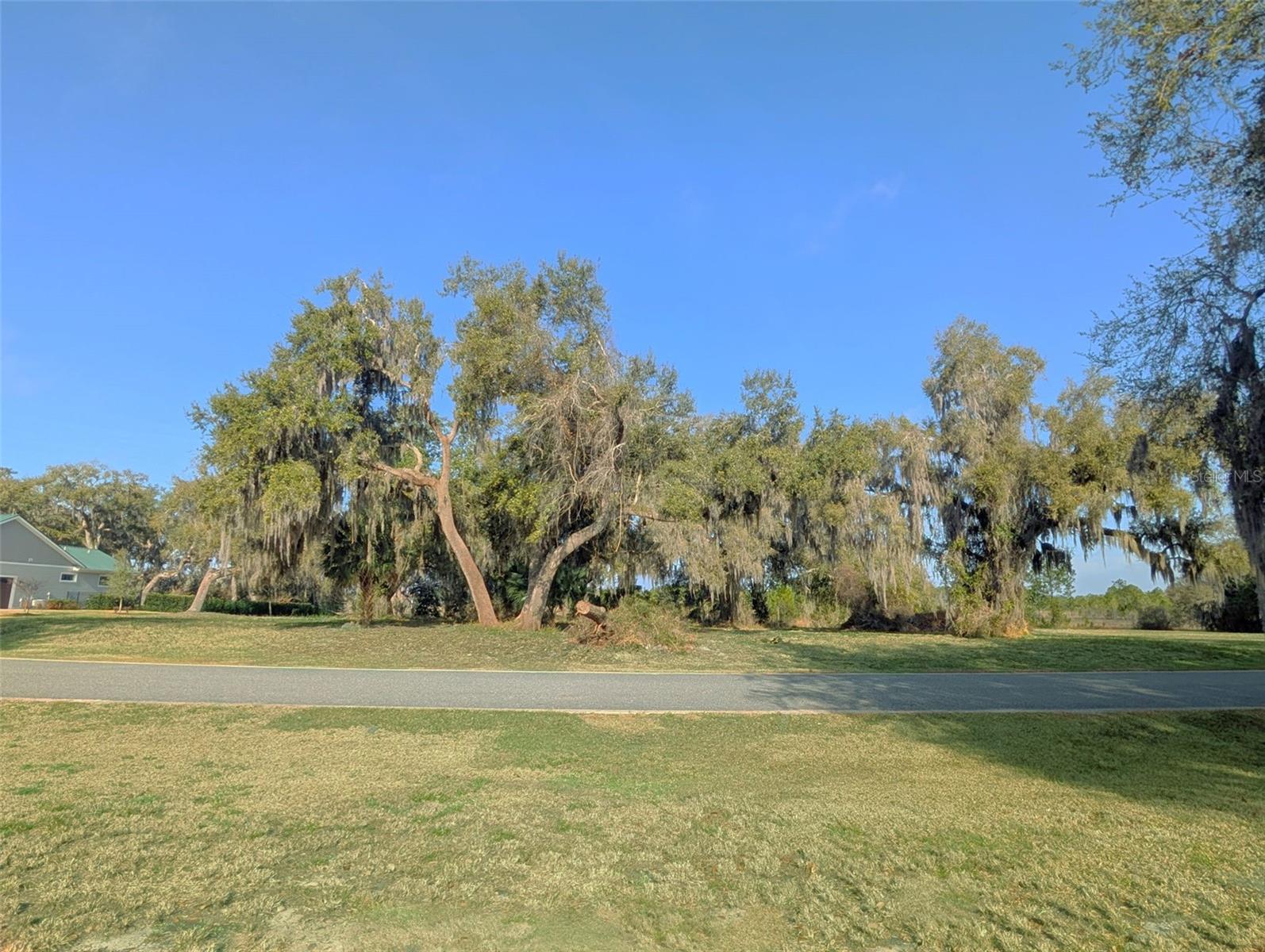 BLUE SPRING RESERVE - Land