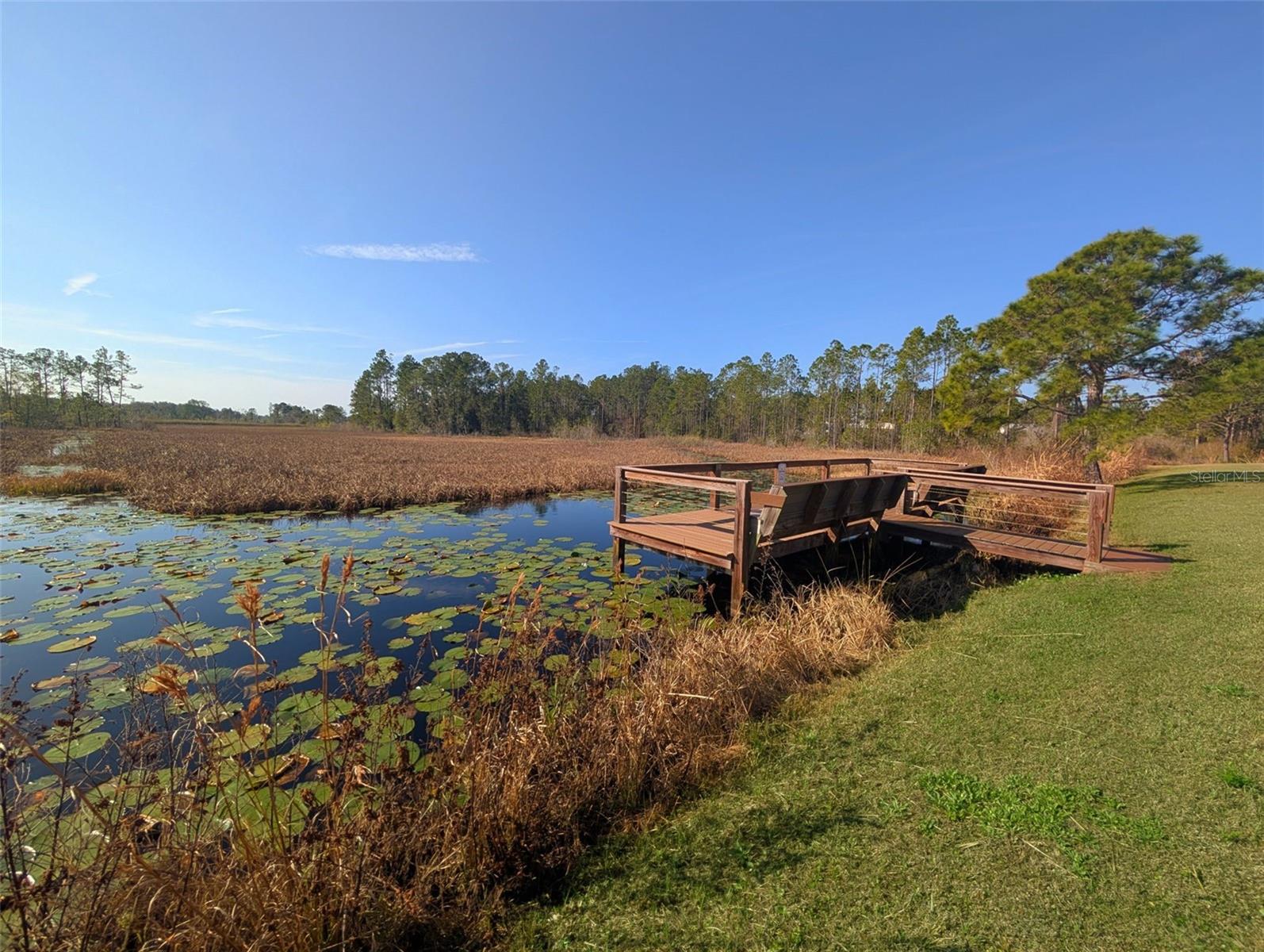 BLUE SPRING RESERVE - Land