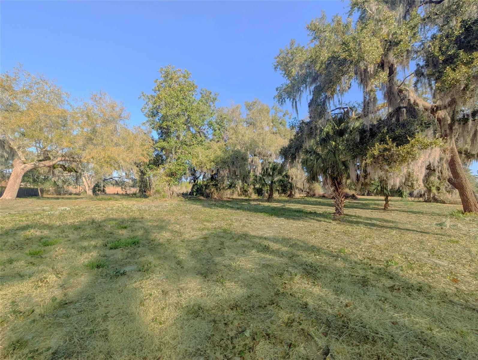 BLUE SPRING RESERVE - Land