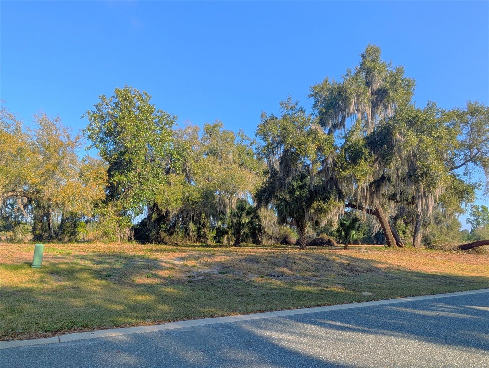 BLUE SPRING RESERVE - Land