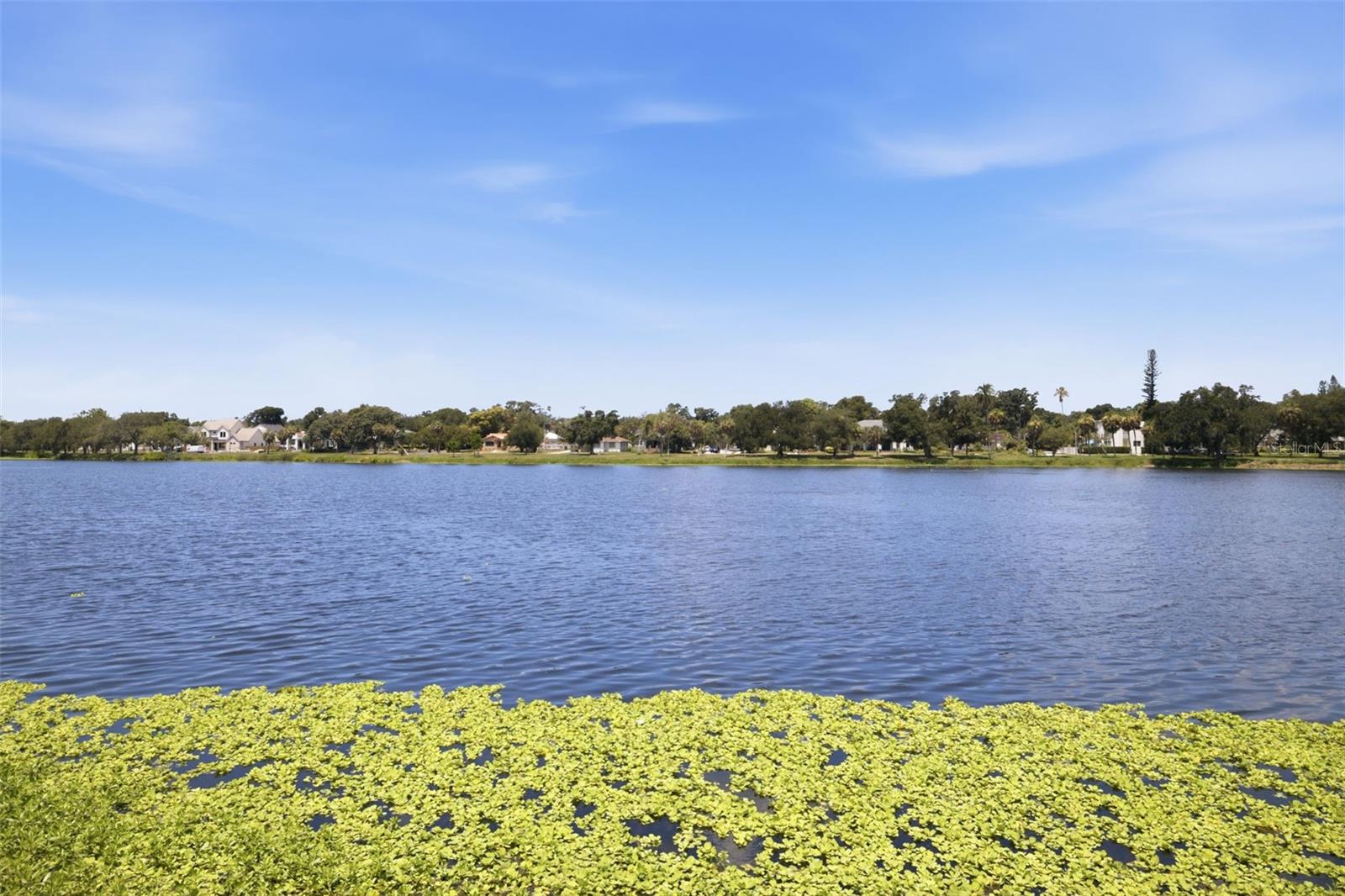 UPTOWN CRESCENT LAKE - Residential