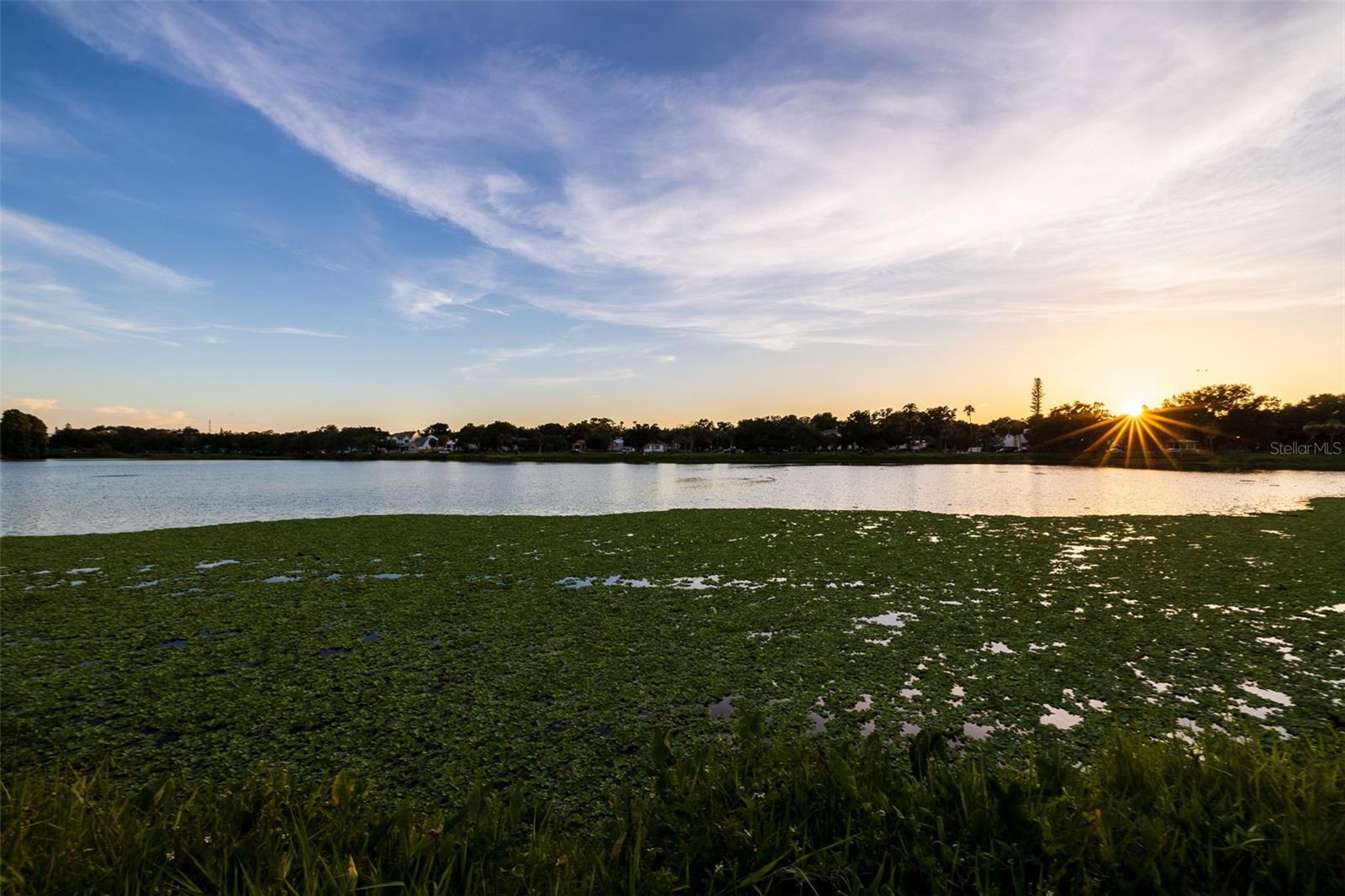 UPTOWN CRESCENT LAKE - Residential