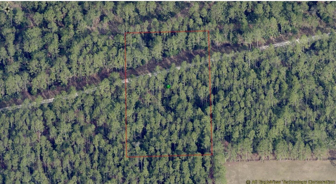 Discover 1.25 acres of peaceful Florida wilderness off Hunting Camp Road in New Smyrna Beach. This vacant parcel offers a private setting surrounded by natural vegetation and native wildlife, making it an ideal opportunity for outdoor enthusiasts, hunters, campers, or those seeking a long-term land investment. Enjoy the serenity of rural Florida while remaining within reasonable driving distance of shopping, dining, and area beaches. Buyer is responsible for verifying access, zoning, environmental conditions, permitted uses, and any future development potential.