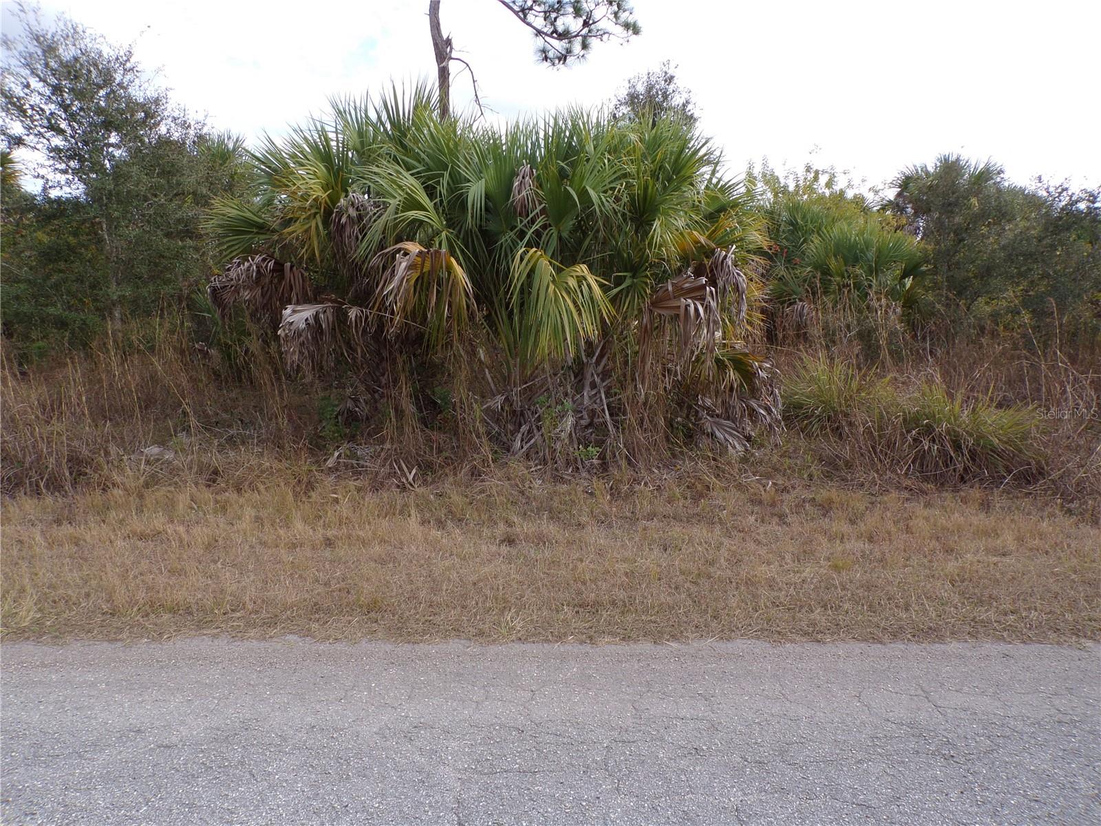 This lot is on a quiet street, that would be a great place to build your dream home and retire or raise your family. Less than 7 miles to I75 makes this location an easy commute to almost anywhere, and only 26 miles to Chadwick Park and Englewood Beach with amazing sunsets, 13 miles to Cocoplum Village Shops with lots of shopping and dining options. Atlanta Braves spring training and the fairgrounds are just minutes away, also multiple golf courses and some of the best boating and fishing in all of Florida. Red Soxs, Orioles, Twins and Rays spring training all within an hour’s drive. Buyer and buyers’ reps are responsible for determining environmental conditions and endangered species restrictions. This lot is priced to sell so please call for availability! This lot is at a great price point for the investor call today.