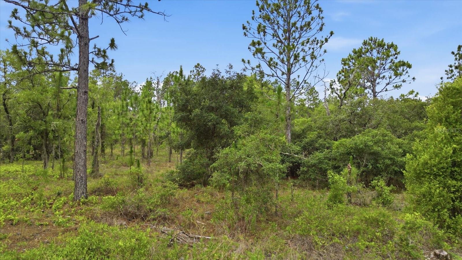 RAINBOW LAKES ESTATE - Land