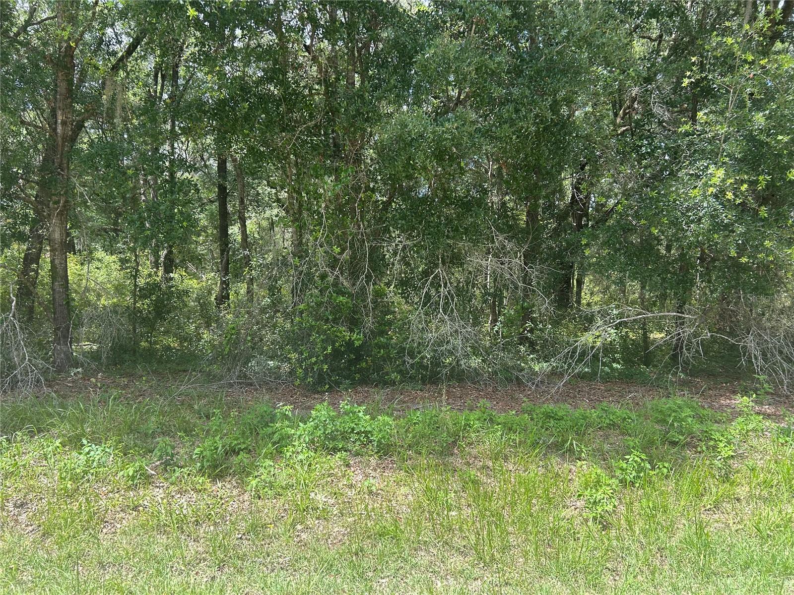 ROLLING RANCH ESTATE - Land