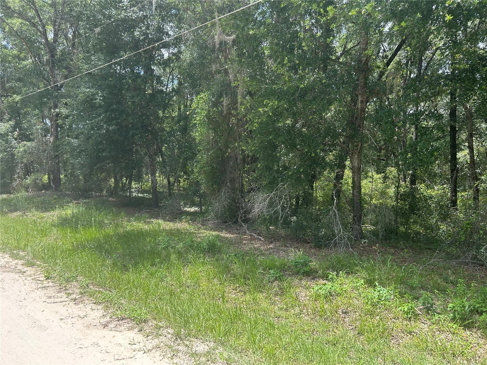 ROLLING RANCH ESTATE - Land
