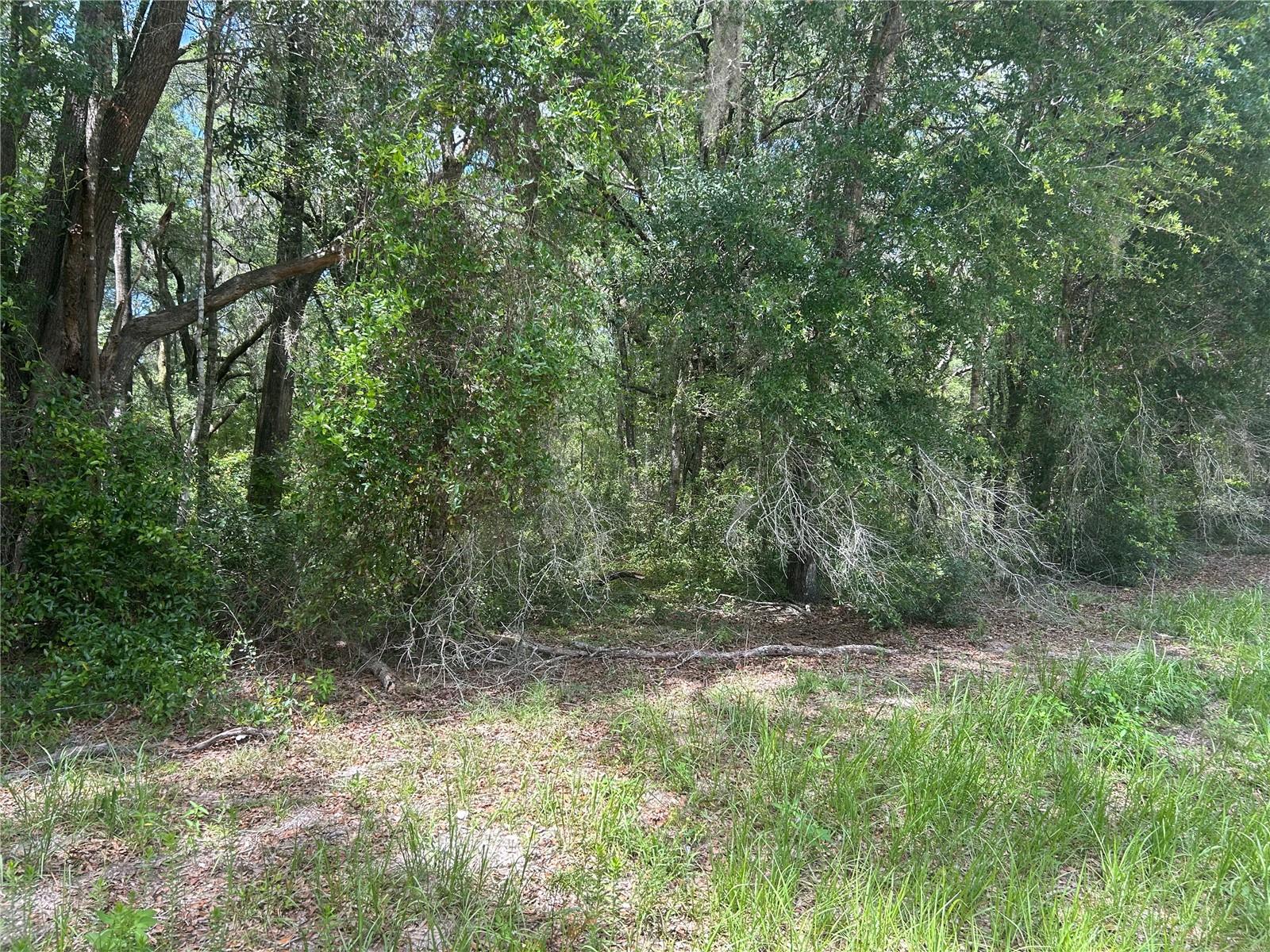 ROLLING RANCH ESTATE - Land