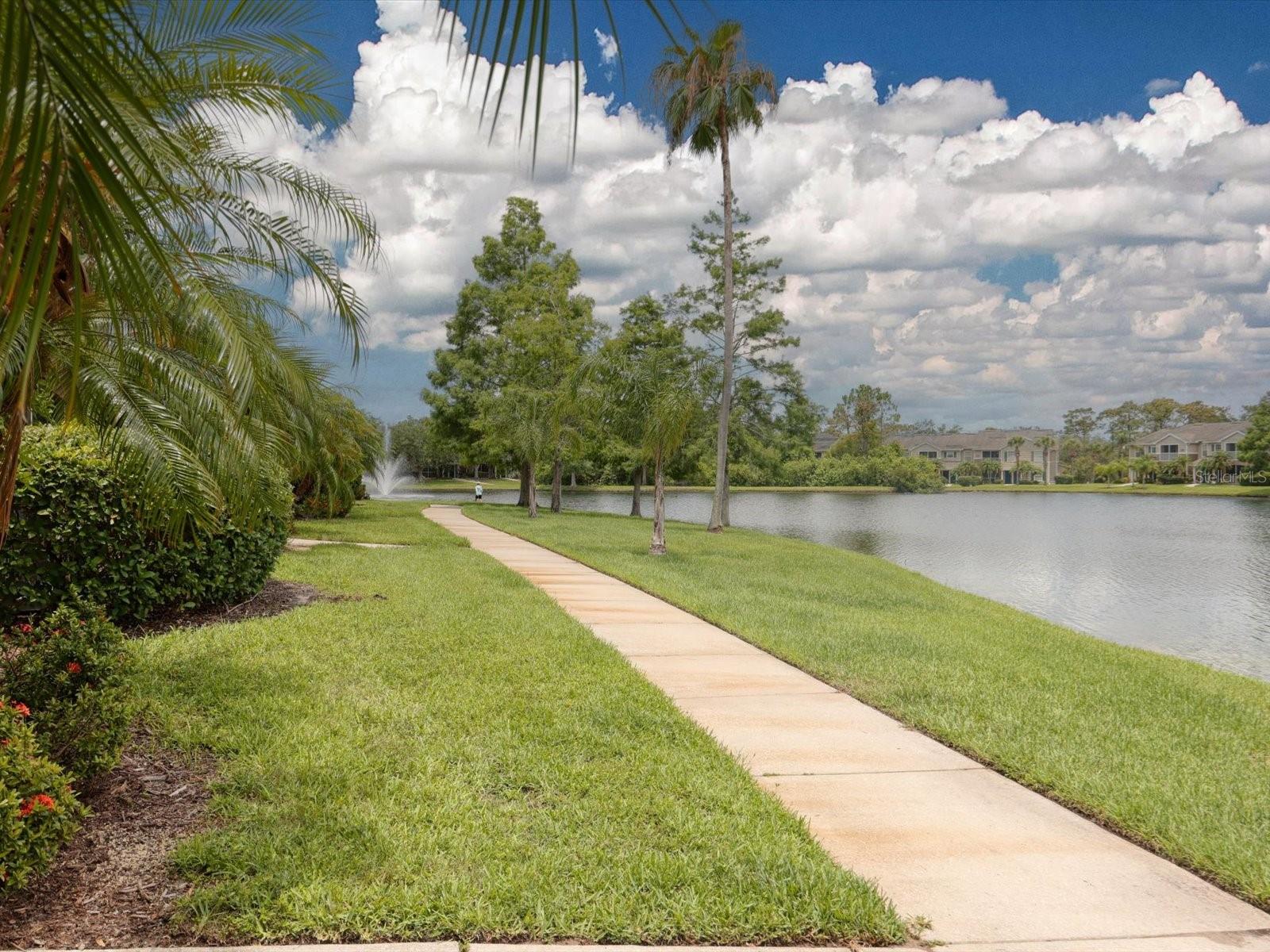 THE VILLAGE AT TOWNPARK - Residential