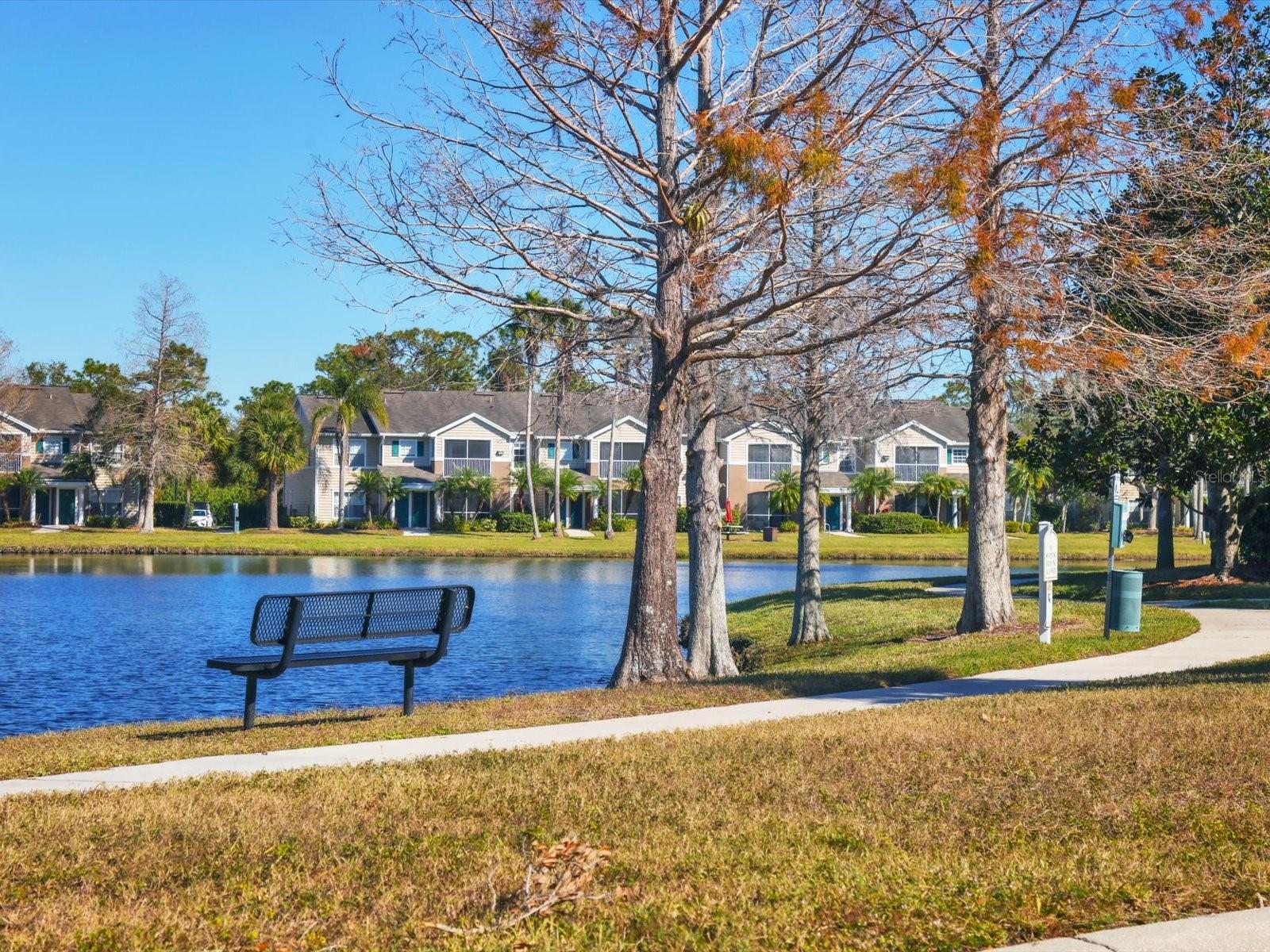 THE VILLAGE AT TOWNPARK - Residential