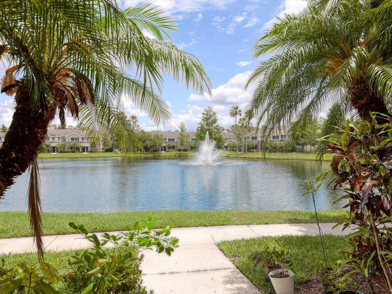 THE VILLAGE AT TOWNPARK - Residential