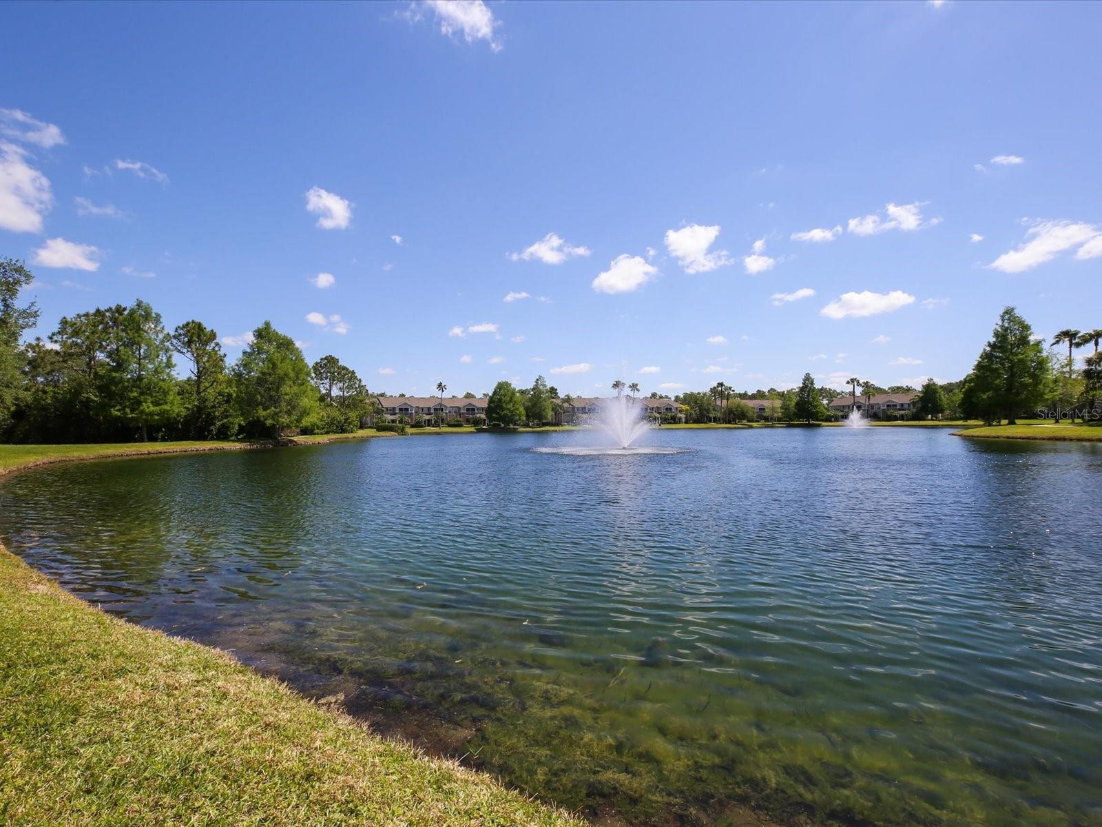THE VILLAGE AT TOWNPARK - Residential
