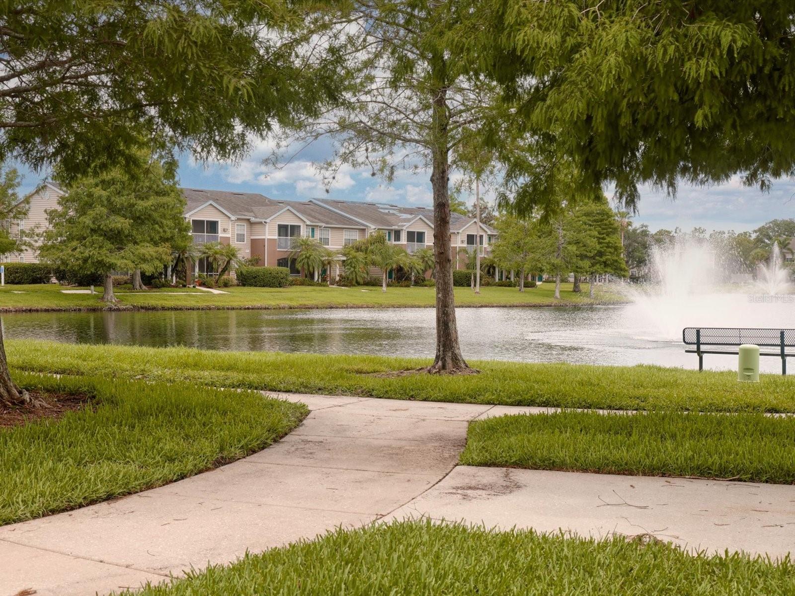 THE VILLAGE AT TOWNPARK - Residential