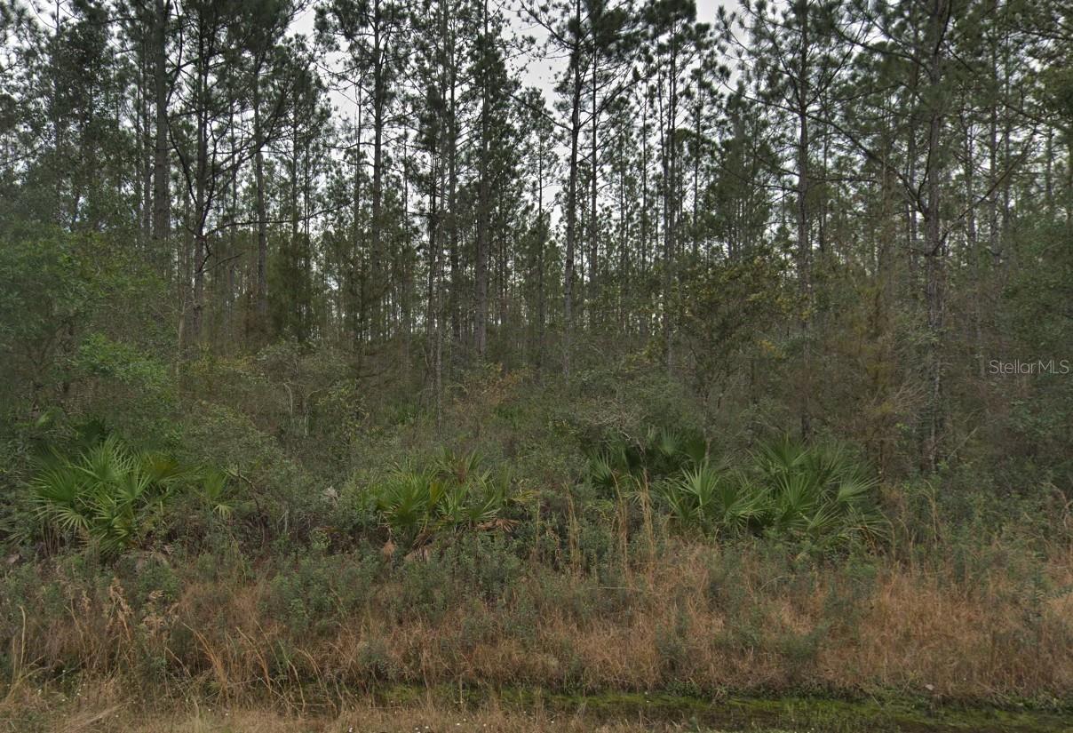 FLAGLER ESTATES ROAD & DRAINAGE DISTRICT 160 - Land
