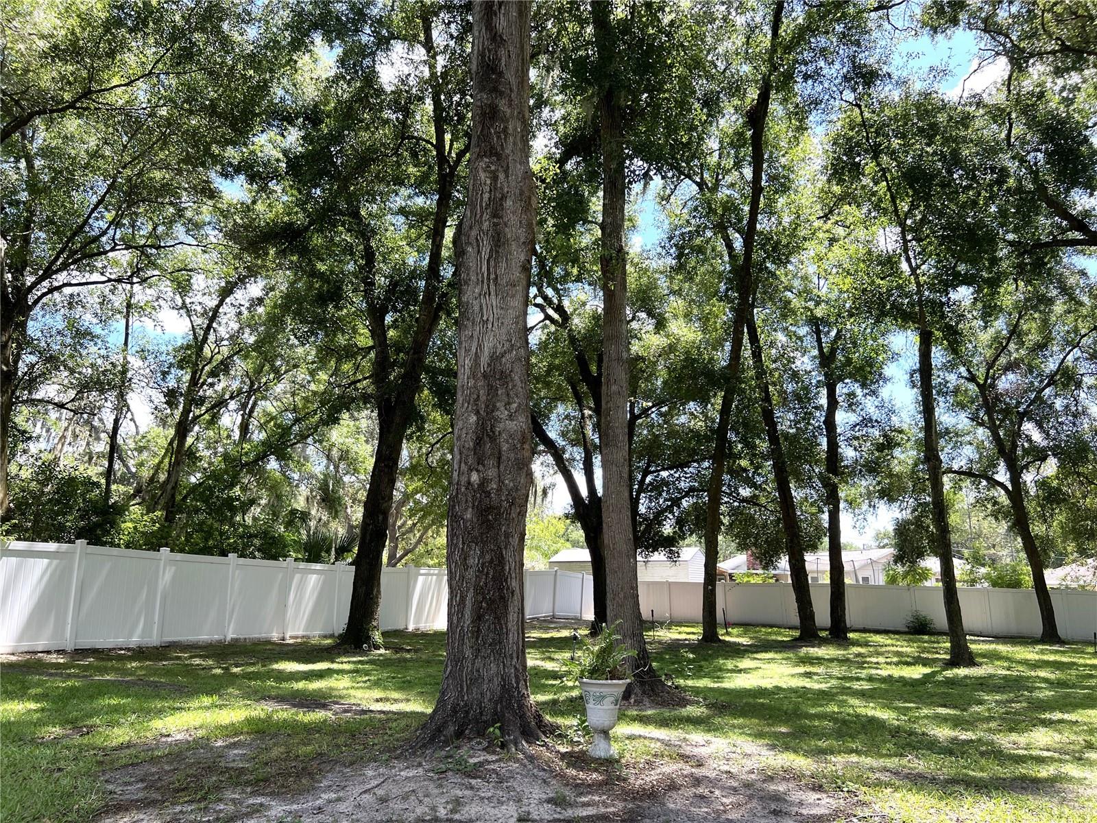SPRING LAKE PINES SUB - Residential