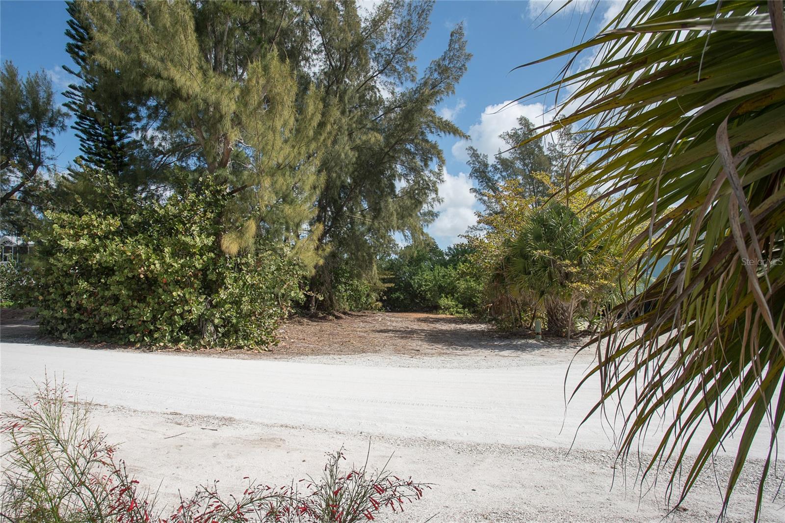 Vacant lot in a prime location in Colony Don Pedro on Don Pedro Island.  Enjoy the best of both the lagoon and the beach with this one of a kind lot. Lot is across the sand road from the pool and beach and faces west so you will be able to view the glorious sunsets over the Gulf of Mexico.  Amenities include a heated community pool, tennis and dockage on Bocilla Lagoon.  Don Pedro-Knight-Palm Island is a bridgeless, barrier island situated between Sarasota/Tampa to the north and  Ft. Myers/Naples to the south.  Accessible only via private boat or a 4 minute car passenger ferry ride.  Enjoy island living in this serene paradise.....walking the uncrowded beaches searching for shells and shark's teeth, kayaking, paddle boarding, fishing, boating and much more.  Build your dream home and you can have it all!!!