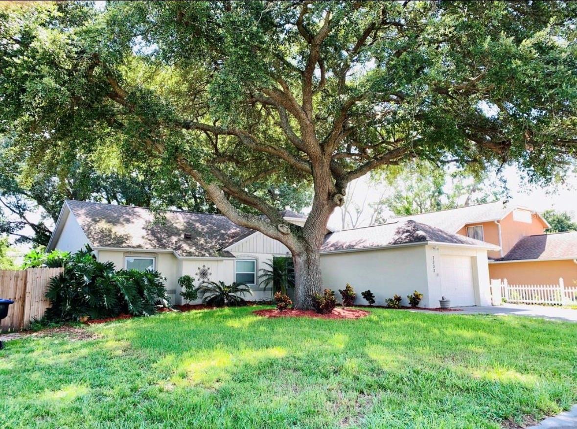 SUMMERBROOKE - Residential