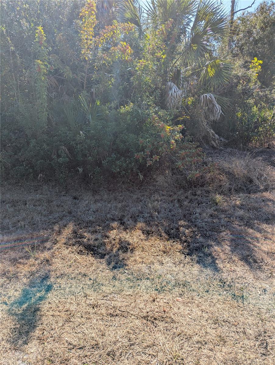 WARM MINERAL SPGS - Land