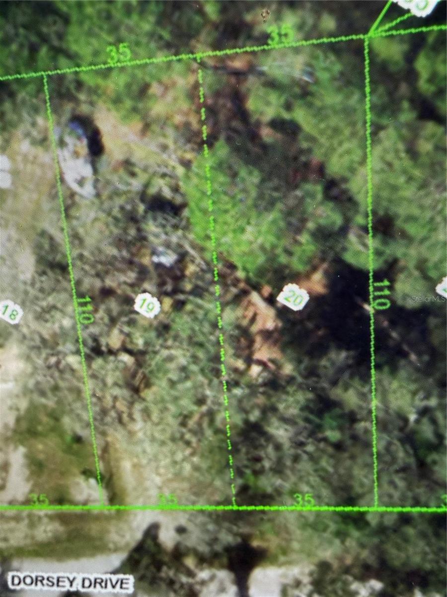 Great buildable lots! 2 lots total! build your dream house! secluded but close to shopping and schools
What a deal!