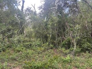RIDGE MANOR ESTATE - Land