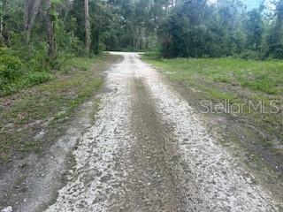 RIDGE MANOR ESTATE - Land