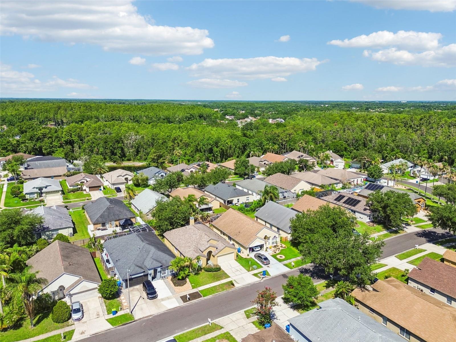 MEADOW POINTE - Residential