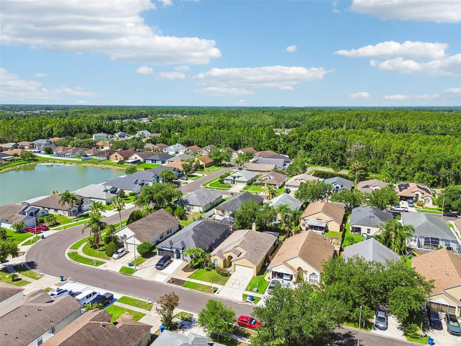 MEADOW POINTE - Residential