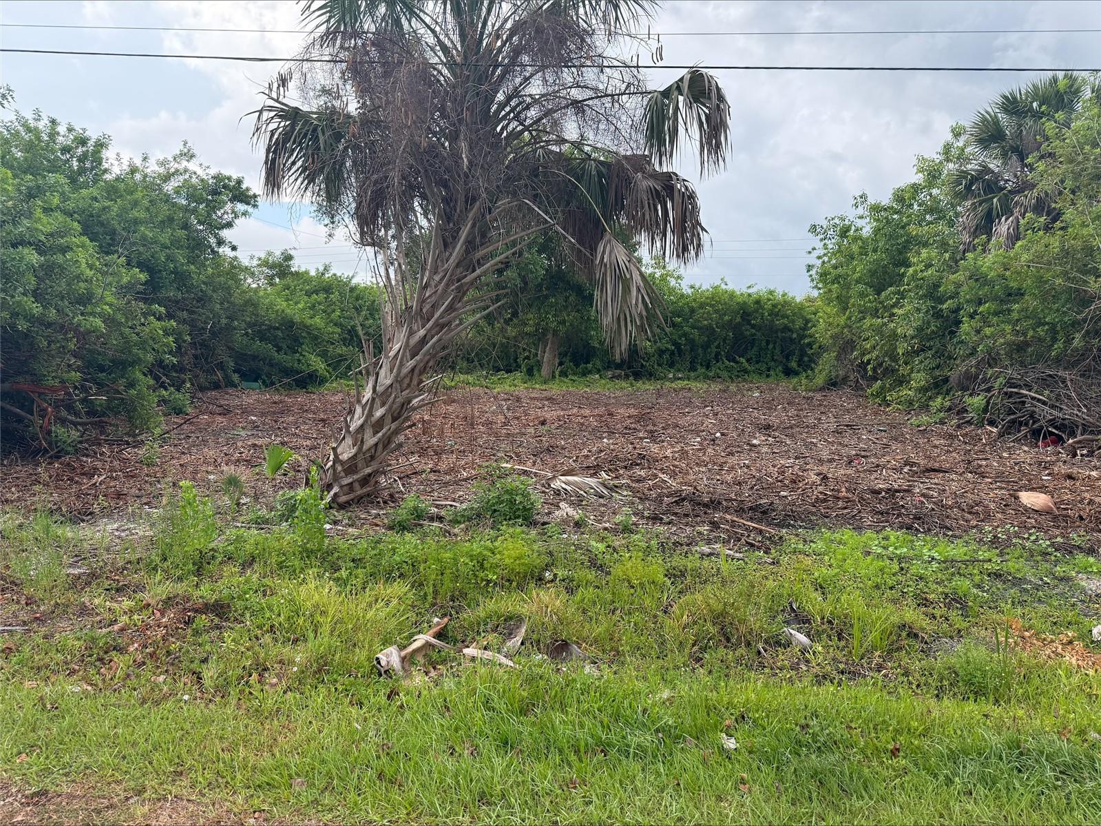 City Water and Electricity Available! Cleared Lot For Sale! Fantastic opportunity to own a build-ready vacant lot in the heart of Punta Gorda! This centrally located property was professionally cleared in March, saving you time and expense while providing a clean slate for your future home or investment property. Nestled in an established neighborhood with paved road access and nearby utilities, the lot offers both convenience and potential.

Enjoy a prime location just minutes from historic downtown Punta Gorda, I-75, shopping, restaurants, schools, medical facilities, parks, and the Charlotte Performing Arts Center. Spend your weekends exploring nearby waterfront parks, golf courses, marinas, fishing spots, and all the outdoor recreation Southwest Florida is known for.

With easy access to major roads and everyday amenities, this property combines privacy, accessibility, and future value. Whether you're planning to build now or invest for the future, this cleared lot is ready for your vision to come to life.
