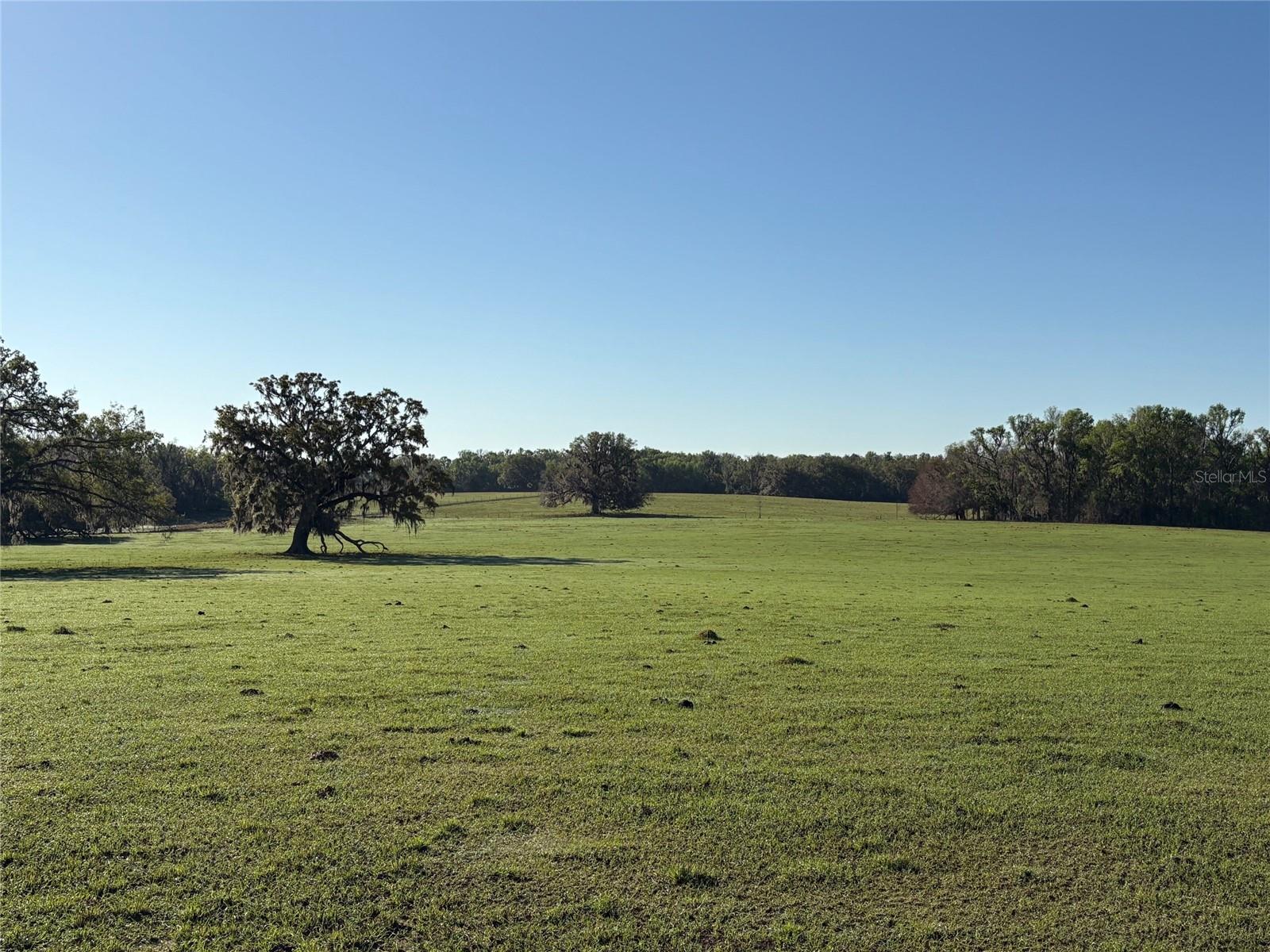 ACREAGE - Land
