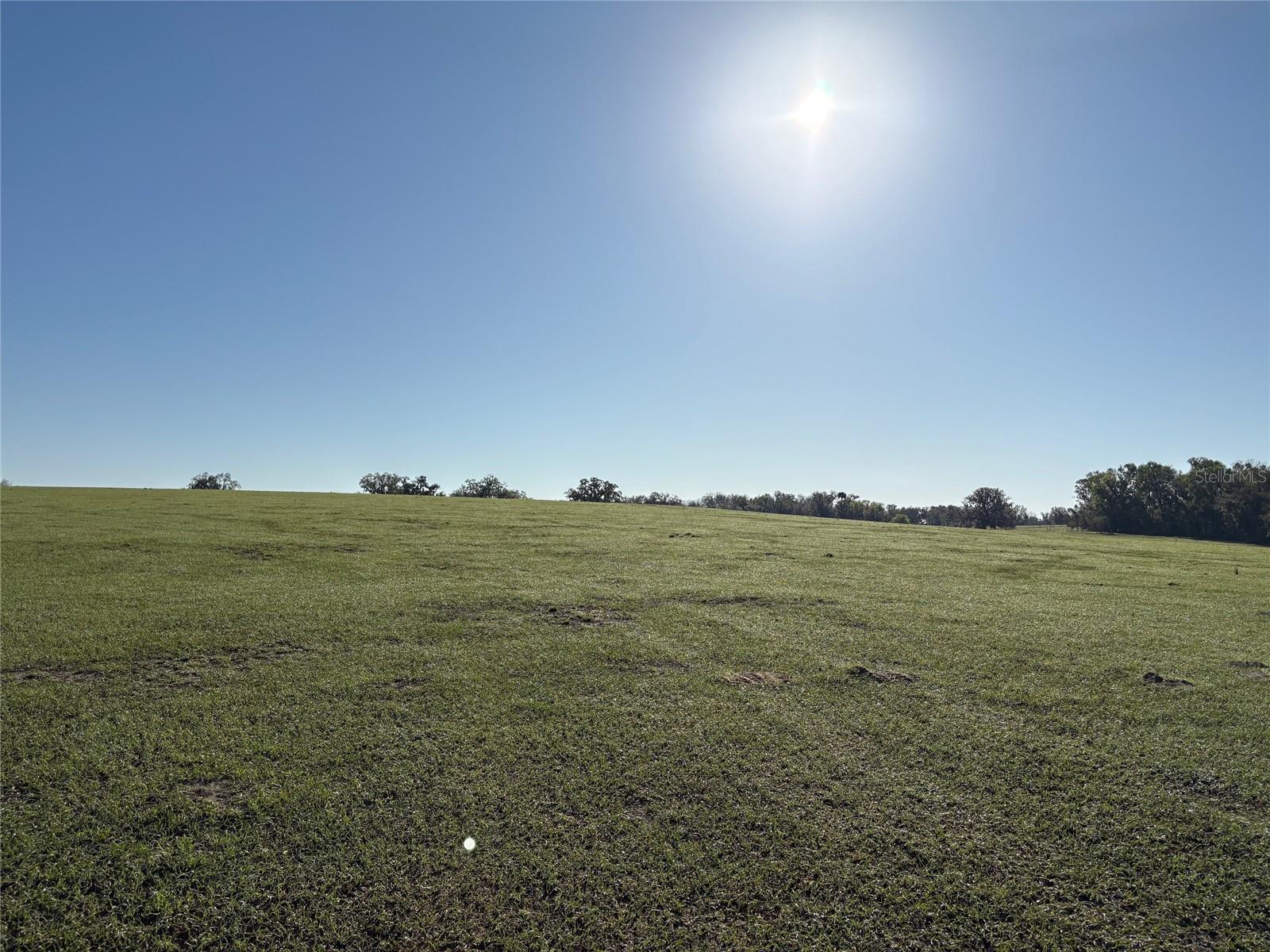 104 Acres of Rolling Hills, Privacy & Possibility Near Cabot Citrus Farms Golf ResortDiscover one of Hernando County's most exceptional land offerings.Purchase all 104 acres or acquire approximately 30 to 70 acres for your private homestead, estate, or ranch. Seller is willing to complete the parcel division.This remarkable 104-acre property showcases the rolling hills, majestic oak trees, open pastures, and scenic countryside that have made Brooksville one of Florida's most desirable rural destinations. Offering approximately 3,900 feet of paved road frontage along Citrus Way and Parsons Road, the property combines accessibility, privacy, and long-term flexibility in a way that is increasingly difficult to find.Located just minutes from Cabot Citrus Farms, one of the nation's premier golf destinations, this extraordinary tract presents a rare opportunity to create a luxury estate, equestrian ranch, family compound, agricultural operation, or legacy property for generations to come.The gently rolling terrain provides multiple elevated homesite opportunities with beautiful views rarely found in Florida. The property currently benefits from an agricultural cattle exemption, helping reduce ownership costs while preserving its rural character.Adding to its appeal, the property offers flexibility for buyers seeking a custom acreage opportunity. Purchase the entire 104 acres or discuss acquiring approximately 30 to 70 acres and allowing the seller to complete a parcel division, subject to county approval.Nature lovers will appreciate the property's proximity to the 42,000-acre Citrus Wildlife Management Area and the surrounding Withlacoochee State Forest, offering endless opportunities for hiking, horseback riding, wildlife viewing, and outdoor recreation.Five miles to the Suncoast Parkway with quick access to Tampa, St. Petersburg, and Clearwater’s beaches. One hour to Tampa International Airport. Electricity at the road; well and septic required