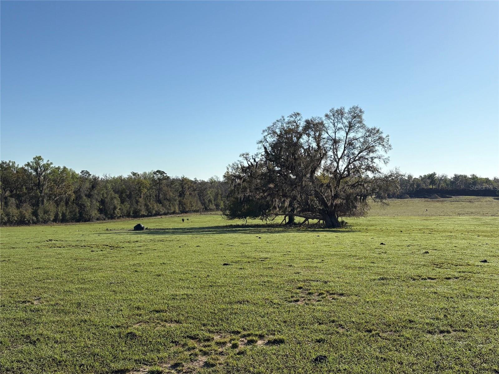 ACREAGE - Land