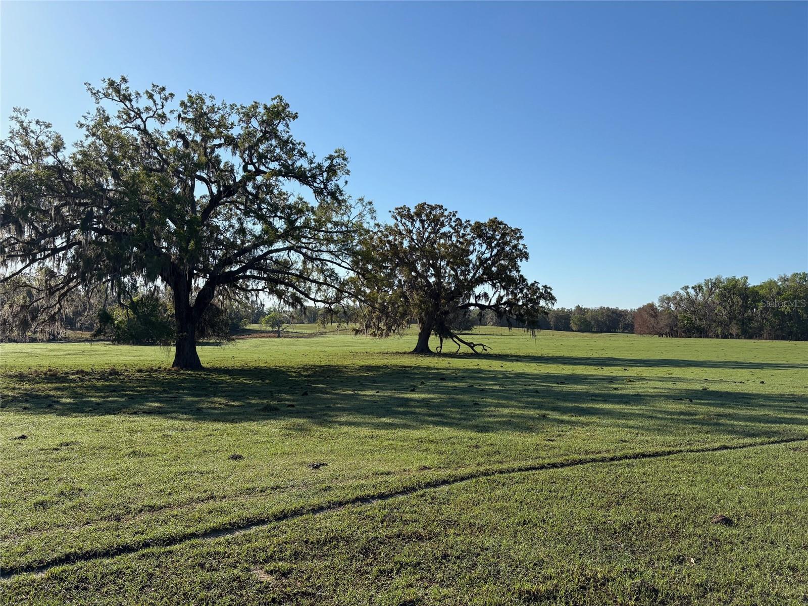 ACREAGE - Land
