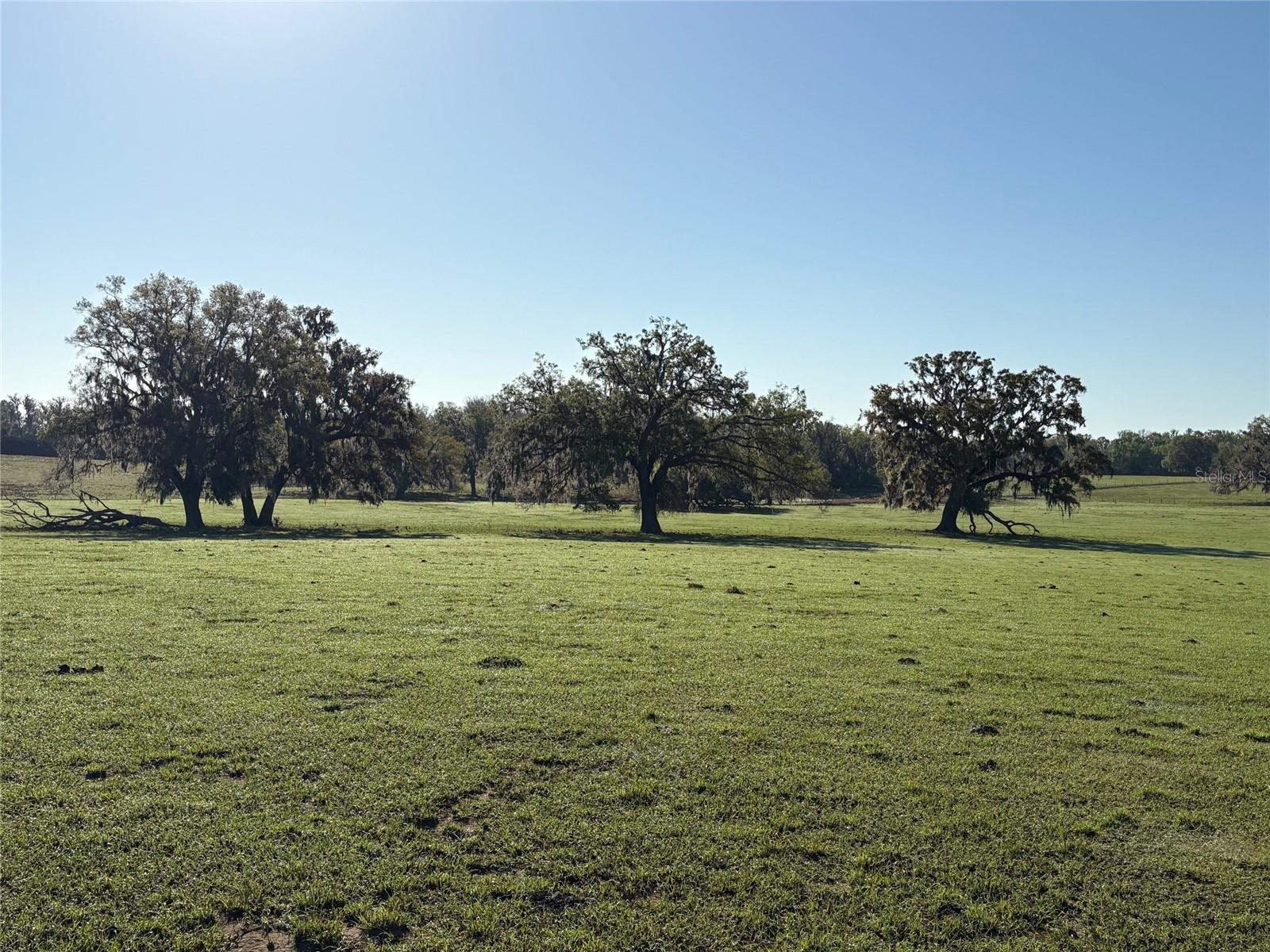 ACREAGE - Land